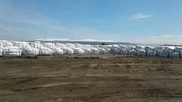 sacks containing pcb in port hedein