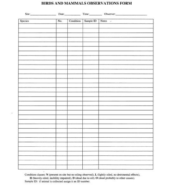 Birds and mammals observations form