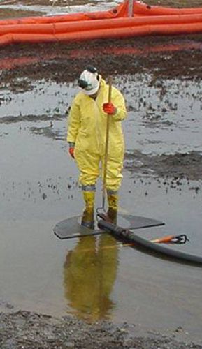 standing on manta ray