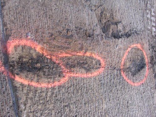 hot spots delineated after trimming