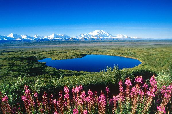 denali photo denali photo