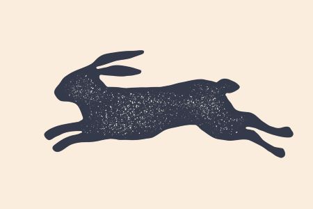 Illustration of a rabbit