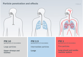 PM health impacts by particle size