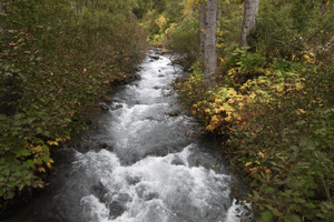 Scenic picture of a tributary of Eagle River in Alaska.