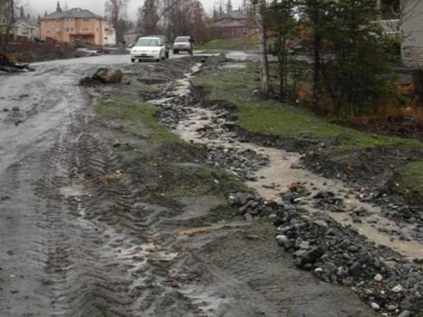 Street Sediment Ditch