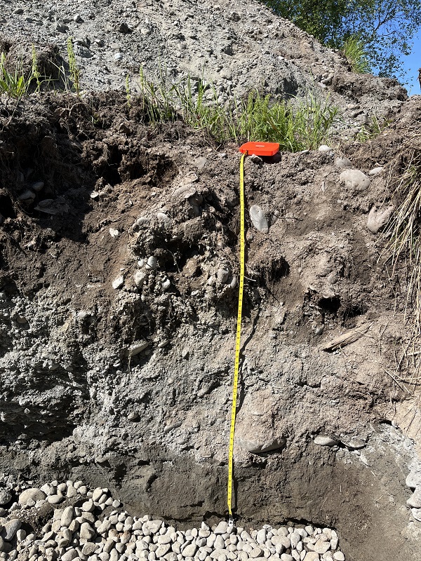 bed soil absorption system with excavator